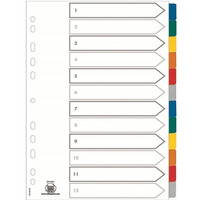 Przekadki kartonowe A4+ MYLAR 1-12 kolor 100204983 OXFORD