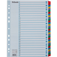 Przekadki kartonowe MYLAR A4 1-31 biae 100164 ESSELTE