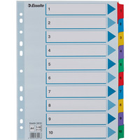 Przekadki kartonowe MYLAR A4 1-10 biae 100161 ESSELTE