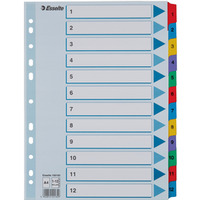 Przekadki kartonowe MYLAR A4 1-12 biae 100162 ESSELTE