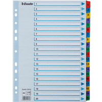 Przekadki kartonowe MYLAR A4 1-20 biae 100163 ESSELTE