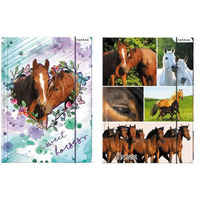 Teczka z gumk A4 STK SWEET HORSES 298952 STARPAK