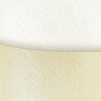 Karton wiz.A4 ORNAMENT biay 230g (20) 205103 Galeria Papieru