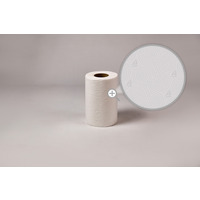 Rcznik celuloza 19cm 50m 2w (12sztuk) RC50/2 MINI MISTRAL