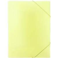 Teczka z gumk na dokumenty A4 PP pastelowy ty TGP-A4-03 BIURFOL