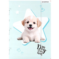 Teczka z gumk A4 DOGGY 559706 STARPAK